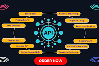 integrate, develop, or fix apis including amazon sp API, ebay API, and sdk apis