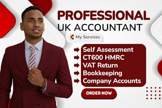 file your UK corporation tax return ct600 to hmrc, tax relief and cs01 filing