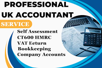 do UK company accounts, corporation tax ct600 and UK vat return