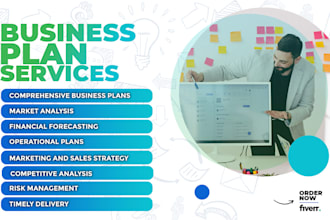 write your high level investment business plan for funding