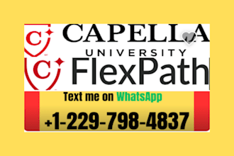 do capella flexpath msn nursing assessments in 24 hours