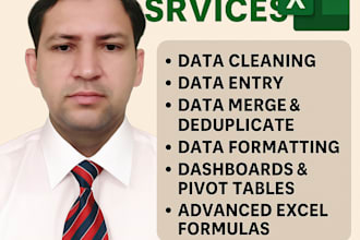 clean, format, and organize your excel data professionally