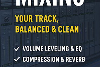 professionally mix your song