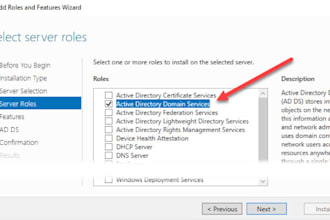 manage windows servers active directory and virtualization platform vmware exsi