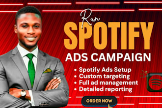 run spotify music ads campaign organic music promotion spotify ads song playlist