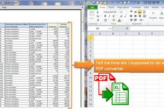 convert PDF to excel data and data cleaning etc