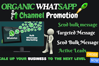 boost whatsapp sales channel promotion boost whatsapp sales channel promotion