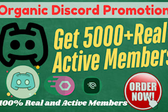 grow, advertise and boost your discord server organic growth to get real members