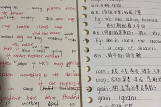 do translation ,I am a chinese my major is english translation