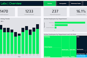 provide detailed business analysis and data driven insights for your company