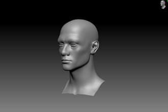 sculpt and model realistic head, face, bust, statue for 3d printing in stl file