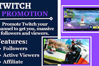organic twitch channel promotion and increase your live viewers