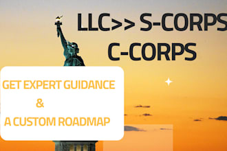design a customized business structure roadmap for llc scorp or ccorp
