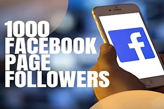 1000 organic facebook followers fast