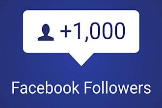 1000 organic facebook followers fast