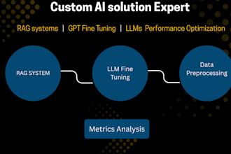 create custom rag systems and fine tune gpt, bert, and llms