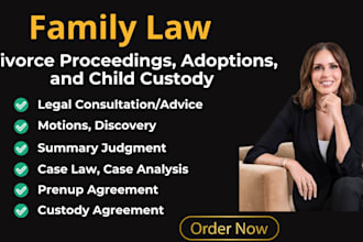 provide legal services relating to family laws and child custody