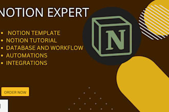 build custom notion workflows for business or create advance notion template
