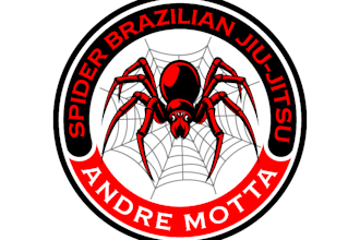 design exclusive spider logo with source file