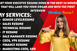 write ats senior executive resume, sales resume, IT resume, tech resume, ceo, vp