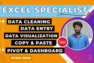 clean, organize, merge, split, and format excel data for business and sales