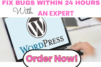 fix wordpress bugs, errors, and elementor issues fast within 24 hours