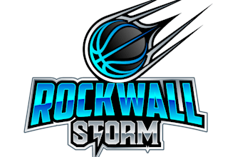 design modern unique basketball logo with fast delivery