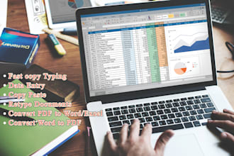 do professional data entry, word typing, and excel tasks