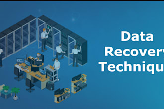 provide data recovery, dfir, and image, video, audio forensics file recovery