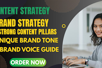 develop content pillars and brand voice guide
