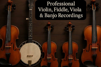 professionally record custom violin, fiddle, viola, banjo tracks for your song