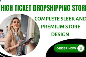 design high ticket dropshipping shopify store website