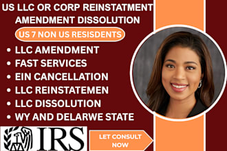 do US llc or corp reinstatement, amendment , dissolution
