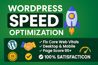 do wordpress speed optimization and google page speed