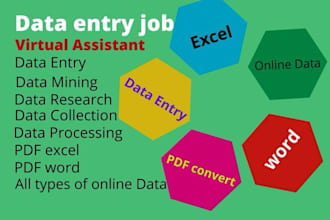 be your virtual assistant for data entry, copy paste, excel, word, file converte