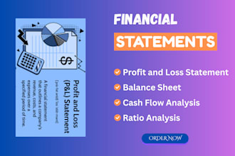 handle profit and loss, balance sheet, and bookkeeping in qbo and xero