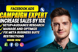 setup and manage facebook ads campaign, instagram ads, fb or meta ad marketing