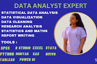 do statistical data analysis and visualization with spss,tableau,r,python,excel