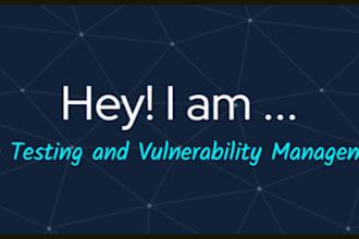 perform expert penetration testing for web, android and API