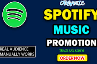 do spotify album promotion, spotify music track promotion