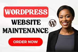 be your wordpress manager, do wordpress updates wordpress maintenance
