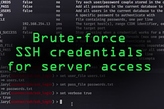 secure your vpn,remote desktop, with hydra brute ,force attack, vpn server,