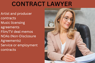 be your entertainment law expert artist producer and contract drafting pro