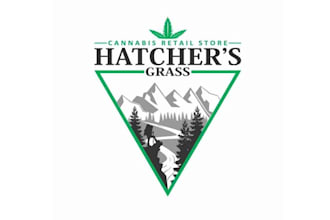 design attractive amazing cannabis theme logo