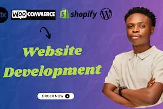 design, redesign a responsive website, custom shopify website