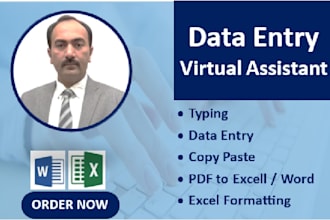 do reliable data entry, excel spreadsheets, and PDF to word