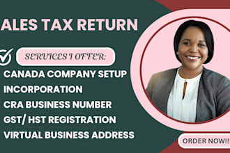 file usa and canada sales tax, gst, hst