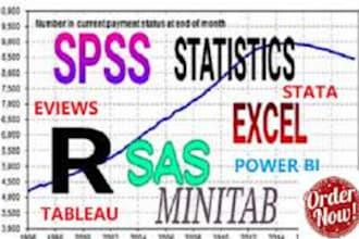do statistical data analysis using r, stata, python