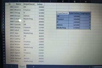 do accurate data entry and formatting in excel