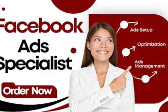setup and manage facebook ads meta fb ad campaign